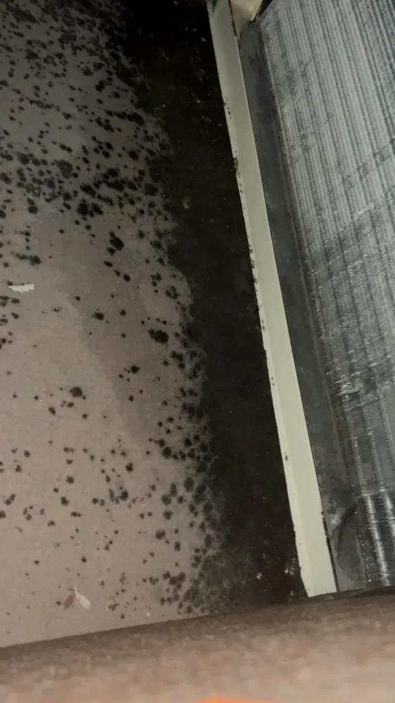 Air duct sanitizing needed: black mold-like spotting inside a duct plenum next to the evaporator coil