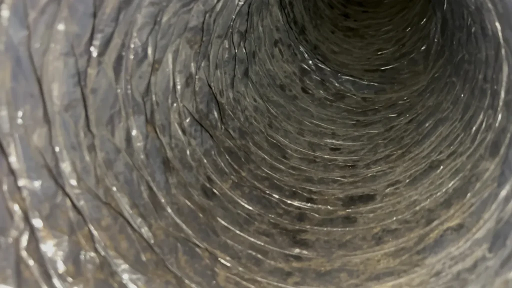 Inside a flex duct with dust and debris coating the ribbed lining before cleaning