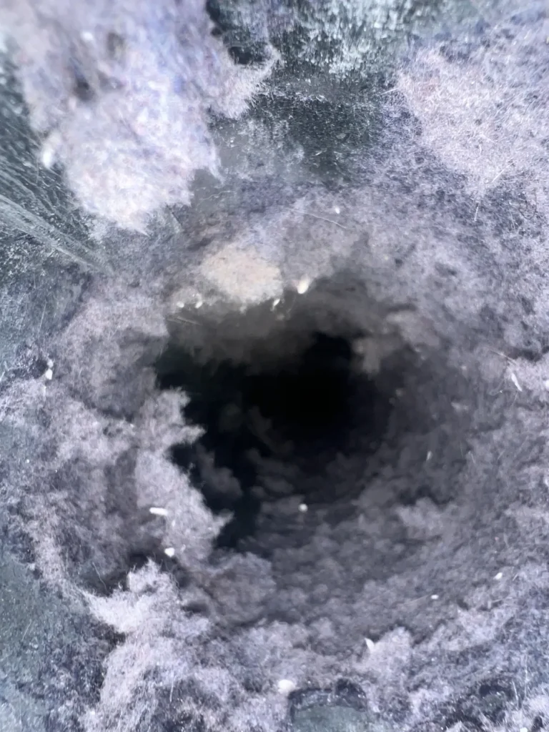 Dryer vent cleaning: close-up of a vent line nearly choked with dense gray lint